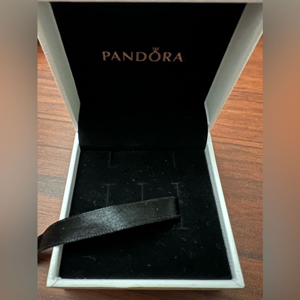 Medium Pandora Jewelry Box